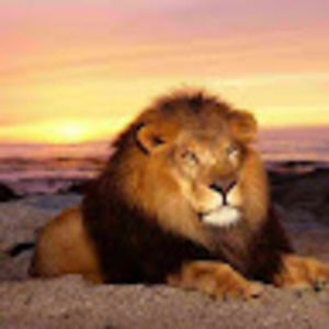 Meet your Posher, Cornelius